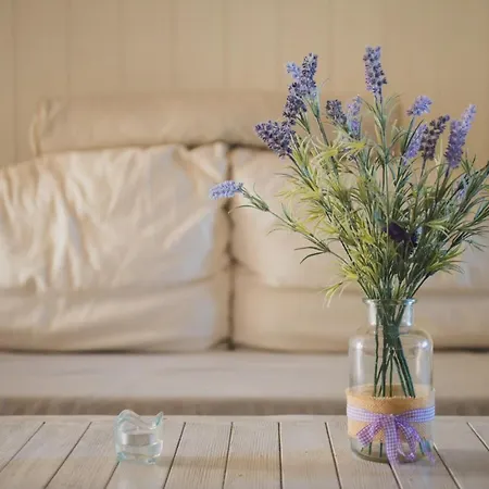 Villa Lilla Sulla Spiaggia Di San Vincenzo Luxury Apartment San Vincenzo